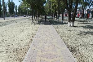 Укладка тротуарной плитки и пластушки Город Новочеркасск
